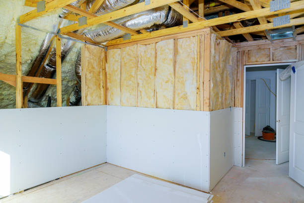 Best Insulation Removal  in Selma, AL