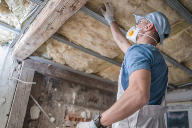 Best Cellulose Insulation  in Selma, AL