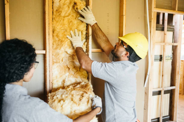 Professional Insulation Contractor in Selma, AL