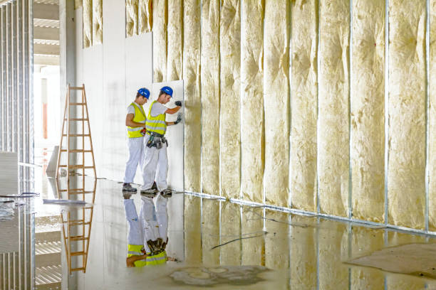 Best Insulation Contractors for Homes  in Selma, AL